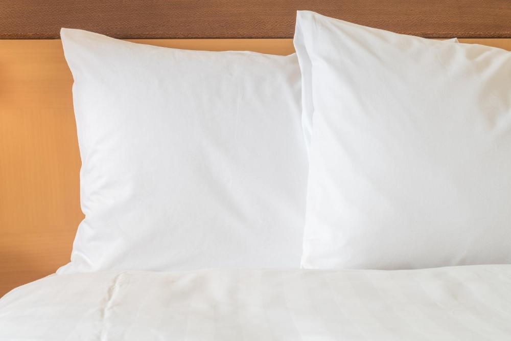 Holiday Inn Express & Suites Asheville Downtown by IHG Image 26